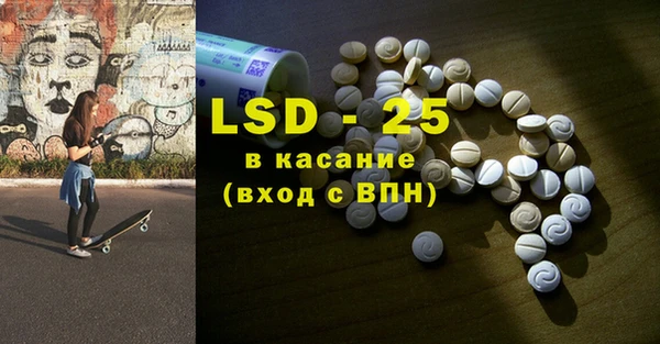 ECSTASY Бородино